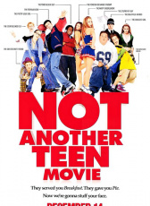 非常男女 Not Another Teen Movie（2001）